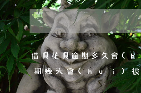 借唄花唄逾期多久會(huì)上征信？逾期幾天會(huì)被起訴？